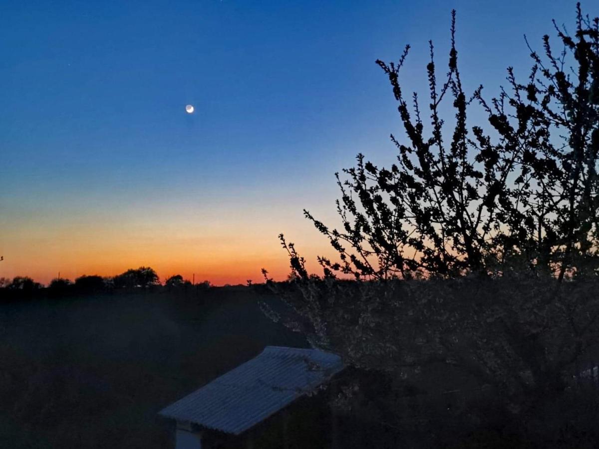 Gite Mimosa Saint-Florent-des-Bois Buitenkant foto